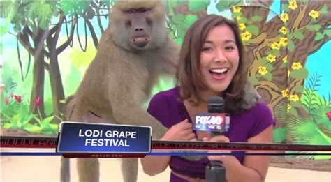 Top 192 Funny News Bloopers Of All Time