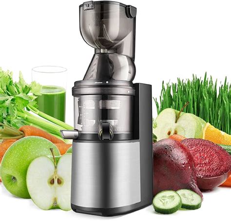 Flexzion Slow Masticating Juicer Cold Press Machine Juice Extractor Easy To Clean With Juice