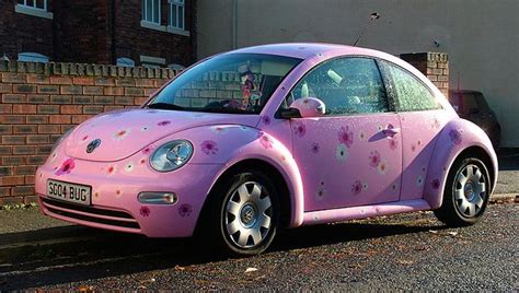 Pink Beetle