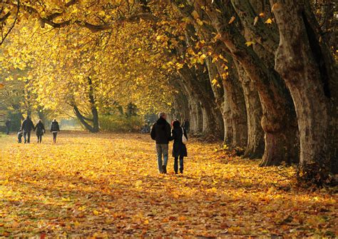 Romantic Autumn Walk Spaziergang Auf Der Herbstlichen Neck Flickr