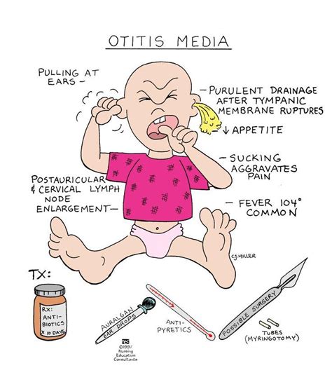 Otitis Media Nursing Nclex Testbankworld Pediatric Nursing