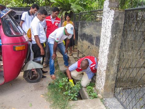 dengue prevention and cleaning campaign continues in post flood colombo sri lanka red cross