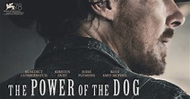 Il potere del cane - Film Leone d'argento - Premio speciale per la ...