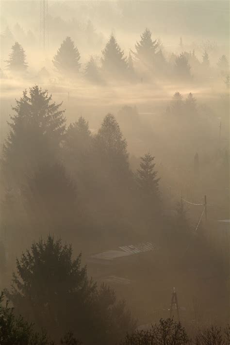 The Fog Morning Dawn Free Photo On Pixabay Pixabay