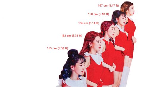 People who have seen her say she doesn't look like irene but has her. Who Are The Tallest And Shortest Red Velvet? | Kpopmap ...