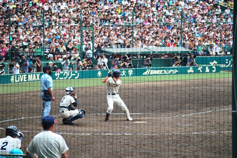 national phenomenon and cultural icon baseball in japan — sabukaru