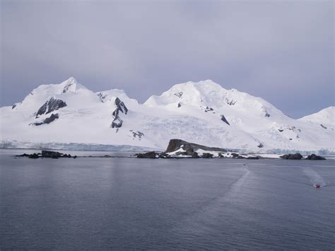 Goin Feral One Day At A Time Half Moon Island Antarctica January 2008