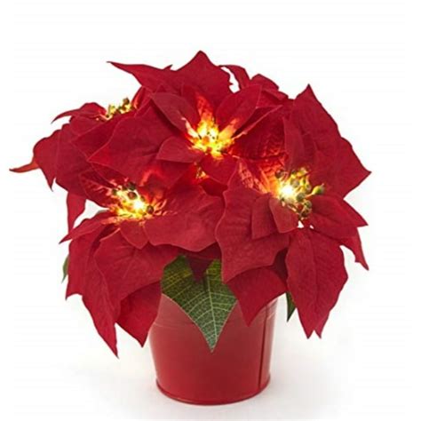 Homeseasons 10 Led Pre Lit Red Artificial Poinsettia Plant In Red Iron