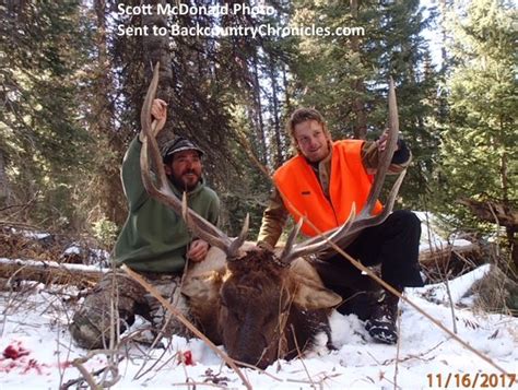Hunt Elk In Colorado With Over The Counter Elk Tags In 2019