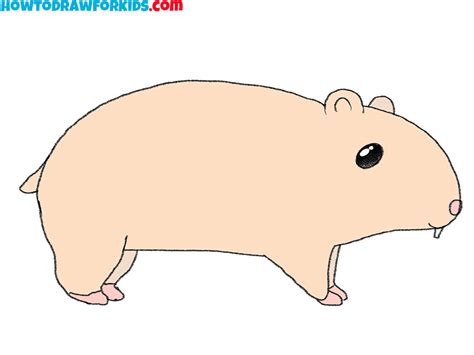 How To Draw A Hamster Easy Drawing Tutorial For Kids