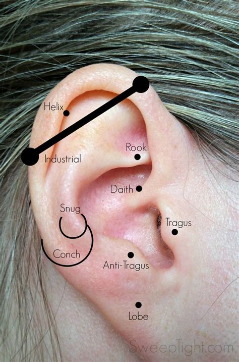 📌 25 Best Ideas About Ear Piercing Names On Pinterest Ear Piercing