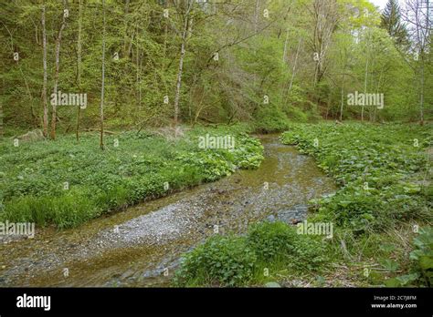 Spring Floodplain Hi Res Stock Photography And Images Alamy