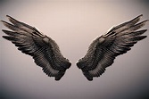 Angel wings 3d model - plejust