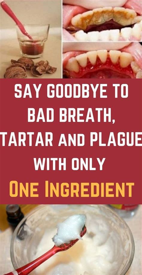 eliminate bad breath plaque and tartar with this one ingredient healthy lifestyle