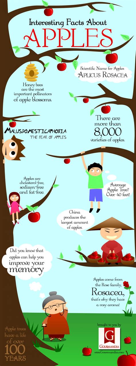 interesting-facts-about-apples-love-infographics