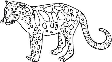 Wild Animal Coloring Pages Best Coloring Pages For Kids