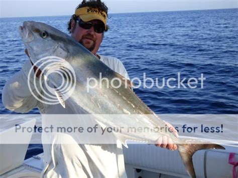 20140323 Offshore Venice Amberjack Grouper And Wahoo — Florida