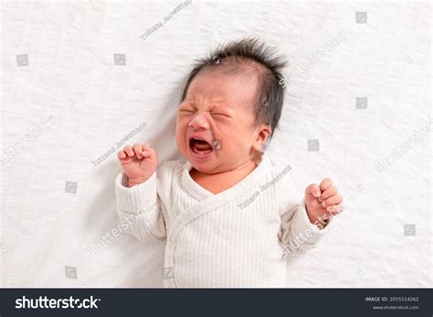 Crying Angry Newborn Baby Boy Lying Stock Photo 2055514262 Shutterstock