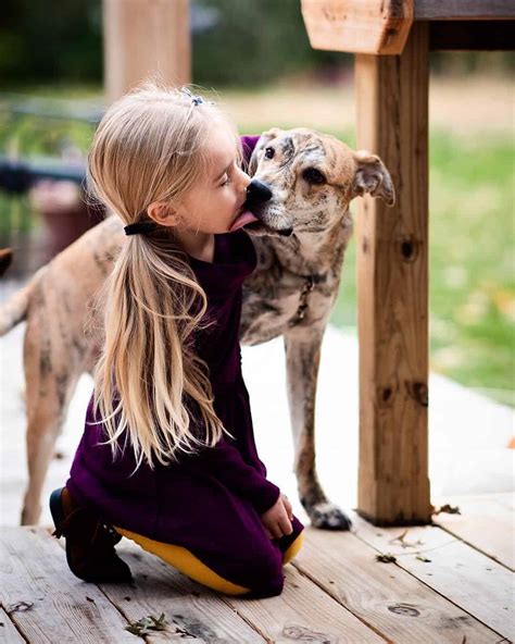 20 Benefits Of Raising Kids Around Animals Run Wild My Child