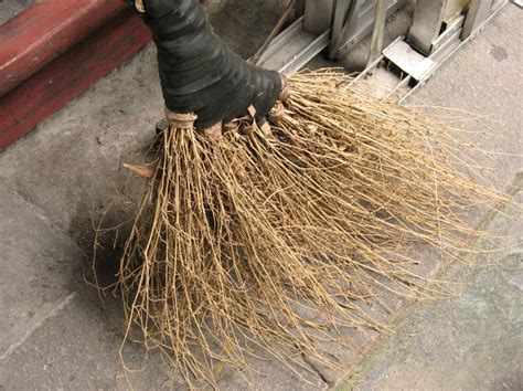 Chinese Broom Brooms Broom Brooms And Brushes