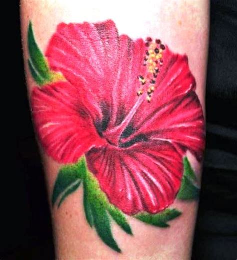 Pin By Renee Lettko On Tattoos Hibiscus Tattoo Hibiscus Flower