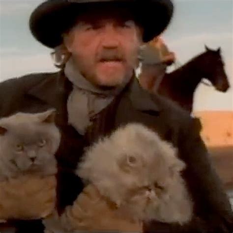 Today Is Cat Herders Day Go Do Something Impossible Herding Cats