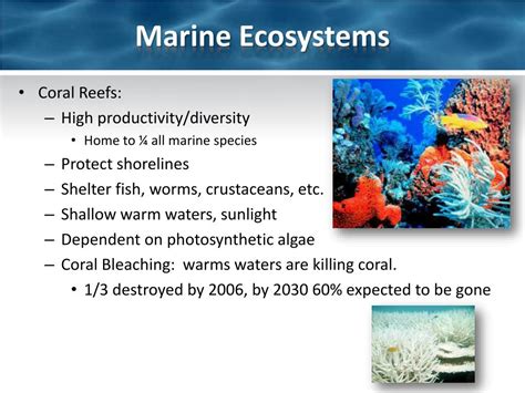 Ppt Aquatic Ecosystems And Biodiversity Powerpoint Presentation Id