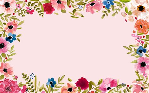 Flower Frame Hd Wallpaper Gambar Bunga
