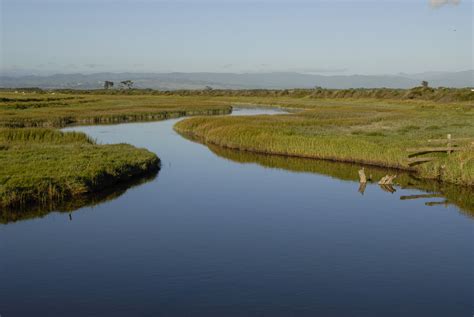 Eel River Estuary Preserve The Wildlands Conservancy