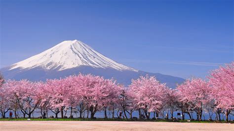 4576359 Mountains Landscape Mount Fuji Japan Moon Nature Rare