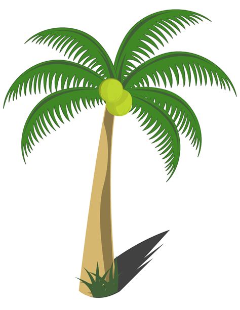 Coconut Trees Png Png High Resolution