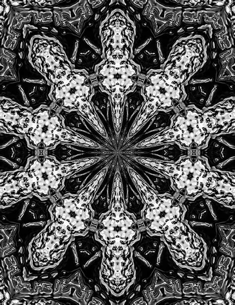 Snowflake Digital Art By Belinda Cox Fine Art America