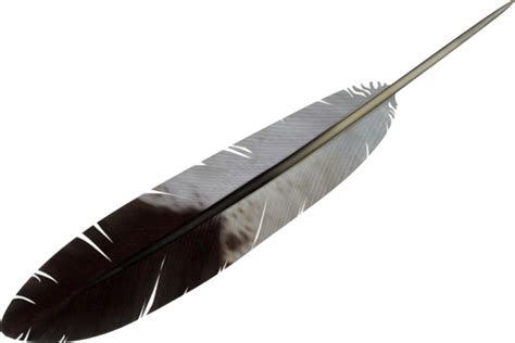 Feather Png Transparent Image Download Size 588x393px