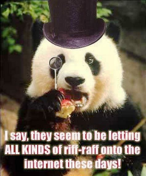 80 Amazing Panda Memes Funny Memes