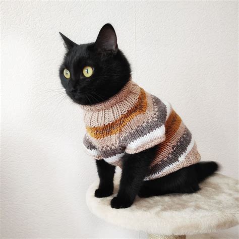 14 Oh So Adorable Cat Sweaters To Keep Kitty Warm On Chilly Days And