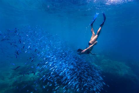 Underwater Photographer Snorkeling Outside Sunset Beach Seychelles