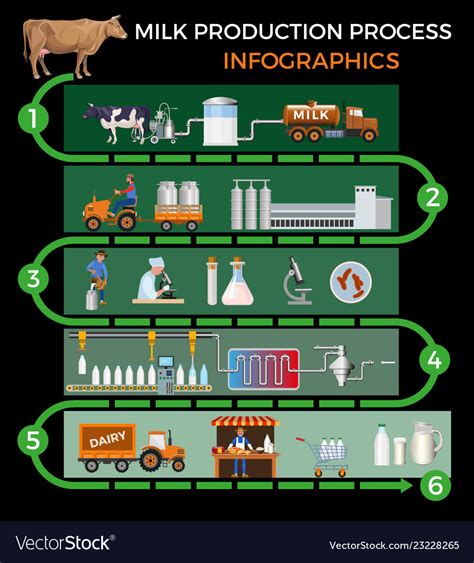 Cow Milk Production Process