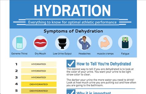 How Can I Tell If Im Hydrated Sports Dietitian