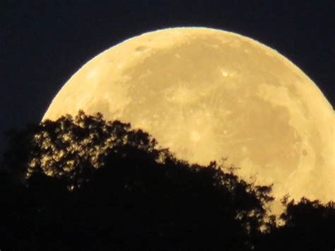 The Moon October 16 2014 Photo Credit Jeff Skelton In Tennessee