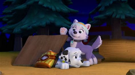 Everest In Season 2 Paw Patrol Photo 40150163 Fanpop Page 5