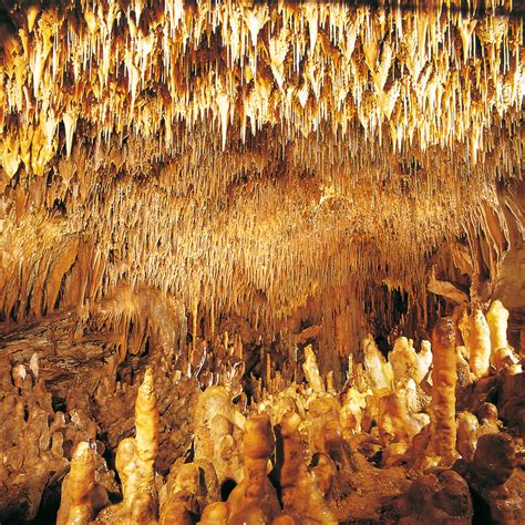 Visit To The Cave Grotte De Villars