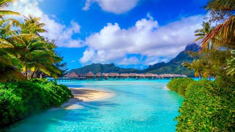 Bora Bora Summer Wallpapers Apk For Android Download
