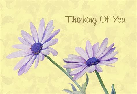Best Greetings Best Greetings With Flowers Free Download