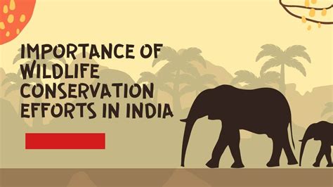Importance Of Wildlife Conservation Efforts In India Educatory Times