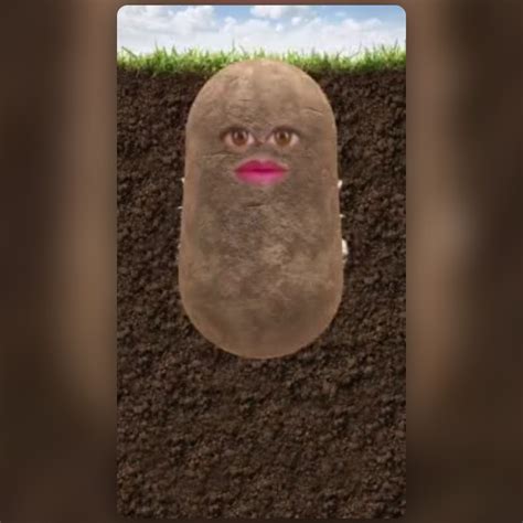 Potato Blonde Lens By Phil Walton Snapchat Lenses And Filters