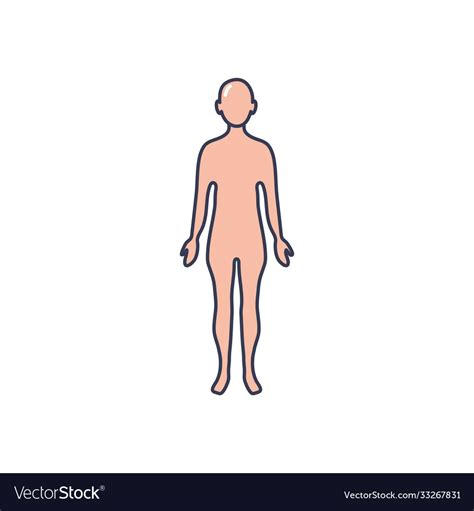 Human Body Icon Line Fill Style Royalty Free Vector Image