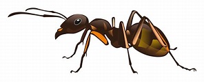 OnlineLabels Clip Art - ant