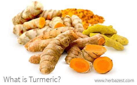 What Is Turmeric Herbazest