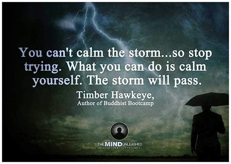Stormy Weather Weather Quotes Words Of Wisdom Quotes Quotes To Live