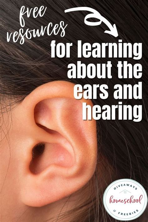 Free Resources For Learning About The Ears And Hearing In 2021